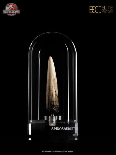 Jurassic Park III Prop Replica 1/1 Spinosaurus Tooth 14 cm - Damaged packaging