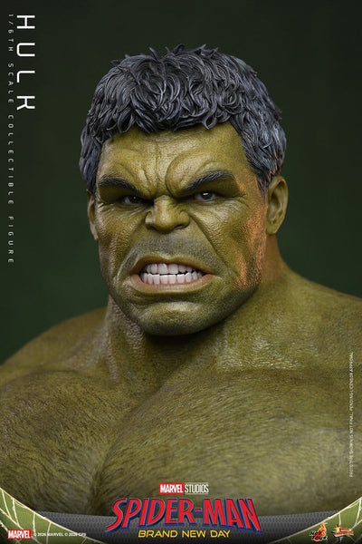 Spider-Man: Brand New Day Action Figure 1/6 Hulk 51 cm