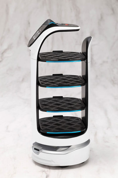 Pudu Robotics Grande ScalePlastic Model Kit BellaBot 19 cm