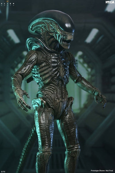 Alien: Earth Ultimate Action Figure Xenomorph 18 cm