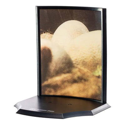 Jurassic Park Toyllectible Treasure Statue Raptor Egg Life Finds A Way 12 cm