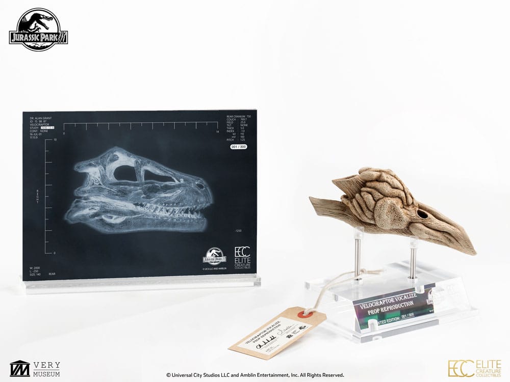 Jurassic Park III Prop Replica 1/1 Velociraptor Resonance Chamber 18 cm