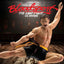 Bloodsport The Last Fight 1/10 Diorama Statue