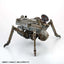 Maschinen Krieger H.a.f.s Gladiator 2 Pcs Set Artpla Model Kit