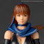 Revoltech A.y. Ninja Gaiden Kasumi Action Figure