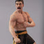 Bloodsport Frank Dux 1/10 Icon X Pvc Figure