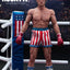Rocky 4 Deluxe Edition 1/6 Scale Action Figure