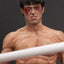 Rocky Over Drago Through The Ropes 1/10 Statue