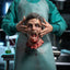 Re-animator Doctor Carl Hill 1/6 Action Figure Deluxe Edition