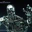 The Terminator T-800 Endoskeleton 1/6 Collectible Figure