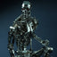 The Terminator T-800 Endoskeleton 1/6 Collectible Figure