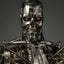 The Terminator T-800 Endoskeleton 1/6 Collectible Figure