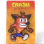 Crash Bandicoot FiGGYZ Magnet Collectible Crash Bandicoot 11 cm