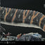 Jurassic World Rebirth (Film) Legacy Museum Collection Statue 1/15 Spinosaurus 39 cm