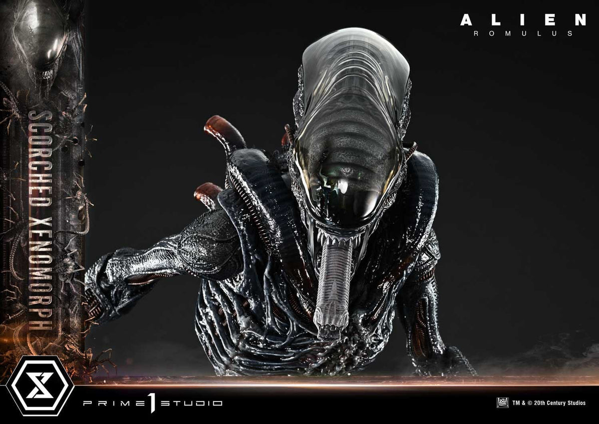 Alien: Romulus Museum Masterline XL Statue 1/3 Scorched Xenomorph Deluxe Version 98 cm