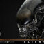Alien Museum Masterline XL Statue 1/3 Big Chap Xenomorph Regular Ver. 100 cm