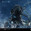 Aliens (Film) Ultimate Diorama Masterline Statue Warrior Xenomorph for Queen Alien 23 cm