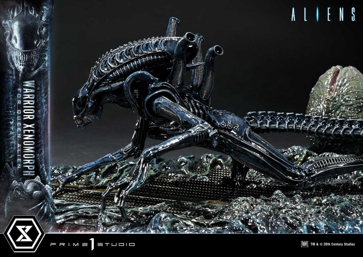 Aliens (Film) Ultimate Diorama Masterline Statue Warrior Xenomorph for Queen Alien 23 cm