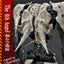 Rebuild of Evangelion Ultimate Diorama Masterline Series Statue The 4th Angel (Concept By Josh Nizzi) 58 cm
