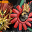 The King of Braves GaoGaiGar Amakuni Kizin Model Kit Genesic GaoGaiGar 30 cm