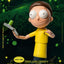 Rick and Morty Dynamic 8ction Heroes Action Figure 1/9 Morty Smith 23 cm