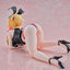 Bunny Garden PVC Statue 1/6 Rin 13 cm    - Damaged packaging