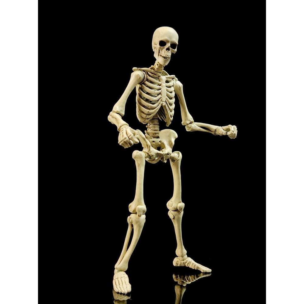 Epic &nbsp;H.A.C.K.S. Action Figure 1/12 Skeleton Blank Classic Bone