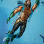 Aquaman and the Lost Kingdom SH Figuarts Action Figure Aquaman 16 cm