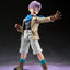 Dragon Ball GT S.H. Figuarts Action Figure Trunks 12 cm