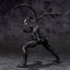 Venom: The Last Dance S.H. Figuarts Action Figure Venom 19 cm