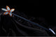 Demon Slayer: Kimetsu no Yaiba Proplica Replica 1/1 Nichirin Sword (Shinobo Kocho) 88 cm
