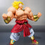 Dragon Ball S.H.Figuarts Action Figure Broly 40th Anniversary Edition 19 cm