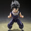 Dragon Ball Z S.H.Figuarts Action Figure Son Gohan (Z-Fighters) (Limited Edition Z-Fighters Group Base Ver. A) 11 cm