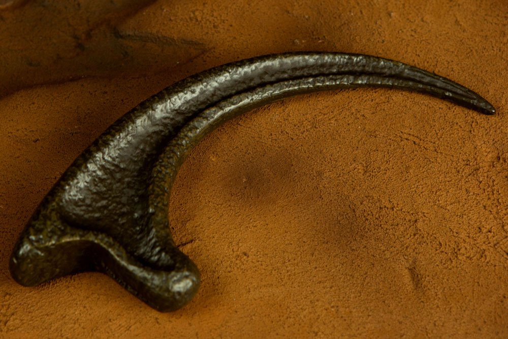 Jurassic Park Replica 1/1 Raptor Claw