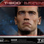 Terminator 2 Statue T-800 On Motorcycle Limited Signature Edition 70 cm