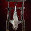 Jaws Maquette 1/12 Jaws 76 cm