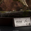 The Lost World: Jurassic Park Maquette 1/12 Tyrannosaur Buck 48 cm