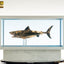 Jaws Maquette 1/18 Jaws Bronze 60 cm