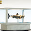 Jaws Maquette 1/18 Jaws Bronze 60 cm