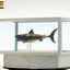 Jaws Maquette 1/18 Jaws Bronze 60 cm