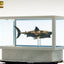 Jaws Maquette 1/18 Jaws Bronze 60 cm