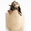 Jurassic Park III ECC Elite Creature Line Statue White Queen Hatching Egg 13 cm