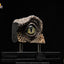 Jurassic Park 1/1 Replica Bust Velociraptor Eye 23 cm