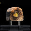 The Lost World: Jurassic Park Replica Bust Male Velociraptor Eye Prop 23 cm