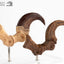 Jurassic Park ECC Elite Creature Line Statue Velociraptor Foot Claw and Fossil Claw Set 20 cm