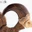 Jurassic Park ECC Elite Creature Line Statue Velociraptor Foot Claw and Fossil Claw Set 20 cm