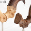 Jurassic Park ECC Elite Creature Line Statue Velociraptor Foot Claw and Fossil Claw Set 20 cm