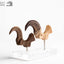Jurassic Park ECC Elite Creature Line Statue Velociraptor Foot Claw and Fossil Claw Set 20 cm