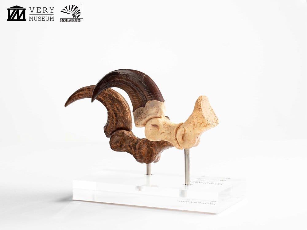 Jurassic Park ECC Elite Creature Line Statue Velociraptor Foot Claw and Fossil Claw Set 20 cm