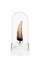 Jurassic Park III Prop Replica 1/1 Spinosaurus Tooth 14 cm - Damaged packaging